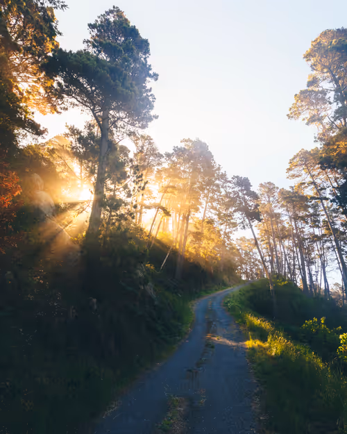 Item #99379921276153973634104125152908526548510783699959858376338453591996778938369 Media