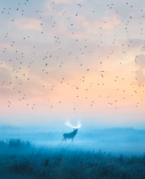 Item #7011756118865655671671030656332753071485214867850025017167807879054419296257 Media