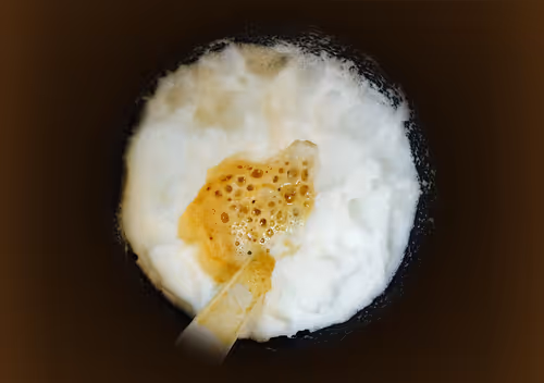 Item #32950900541074688019941179761660279688848553733738145877252429110574701346826 Media