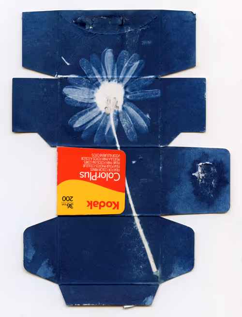 Item #111011725726495855372299514845268257360181815302247514251443823705447219593217 Media