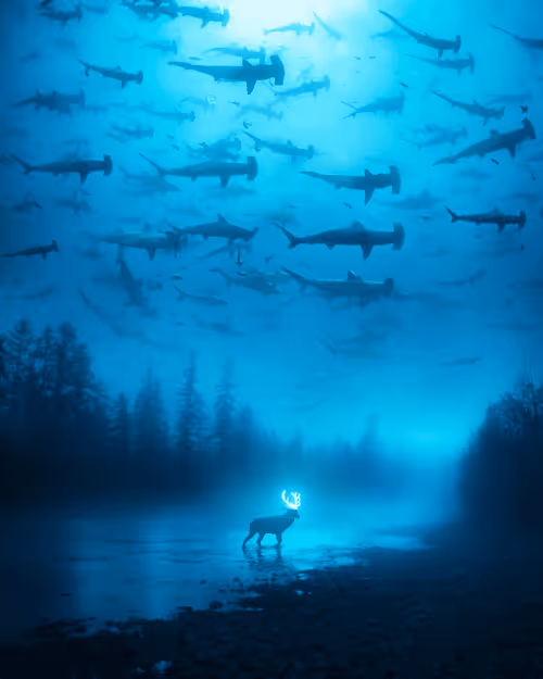 Item #7011756118865655671671030656332753071485214867850025017167807873556861157377 Media