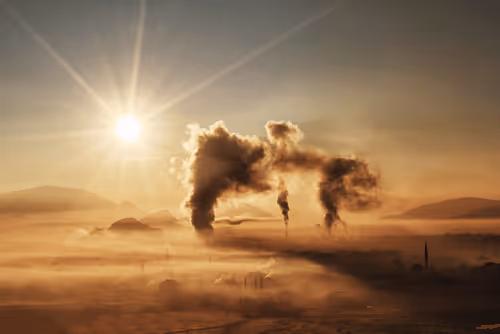 Item #103012301657456598627464593711191492996341926608798375780323323117517014040577 Media