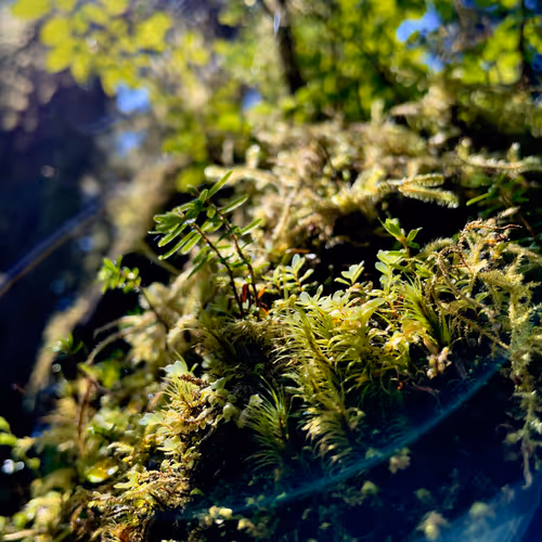 68569921609983084806260736948600394940092661031178232283122914063607840899073