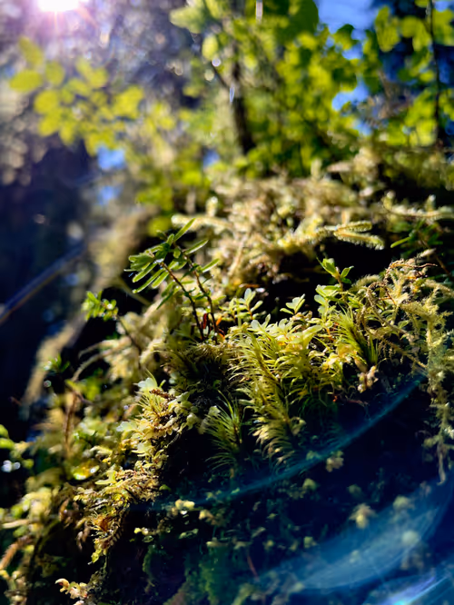 Item #68569921609983084806260736948600394940092661031178232283122914063607840899073 Media