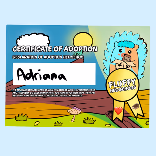 Fluffy Adoptions