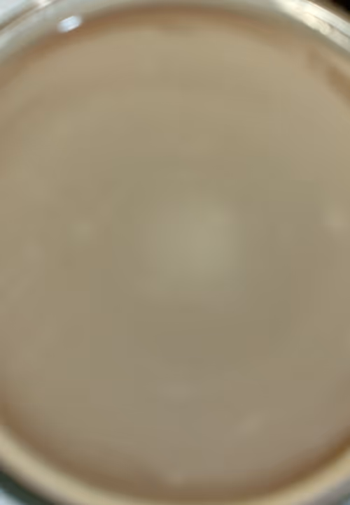 Item #62135269586375031096739731764708550607803972994222766898320167816580292511280 Media