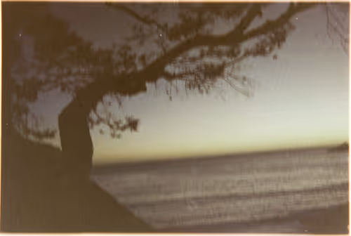 Item #107628365665856111897485274215075795512811837602358604750766643045725286432769 Media