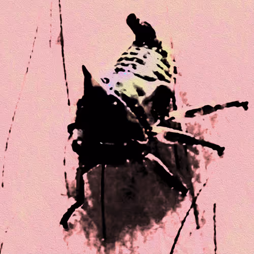 Item #49349444770609105686801470716655642132398722781916722844497336670488834867201 Media