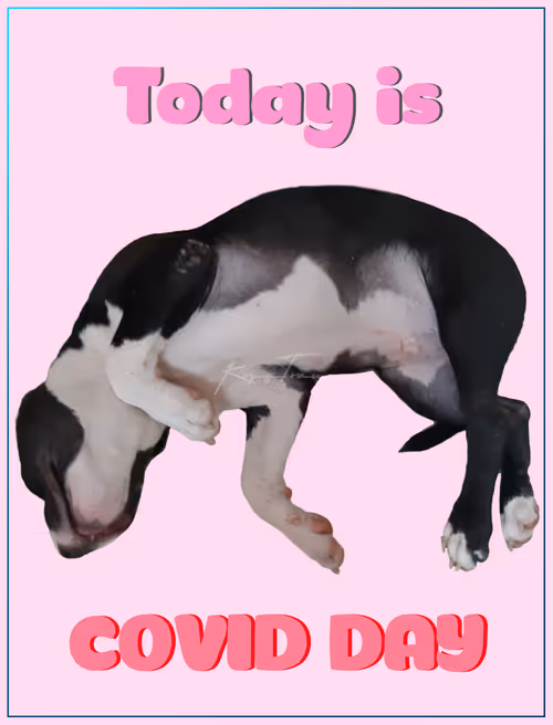 Item #103606411814514267144441239329390381368364317226309774540220525467959562338305 Media