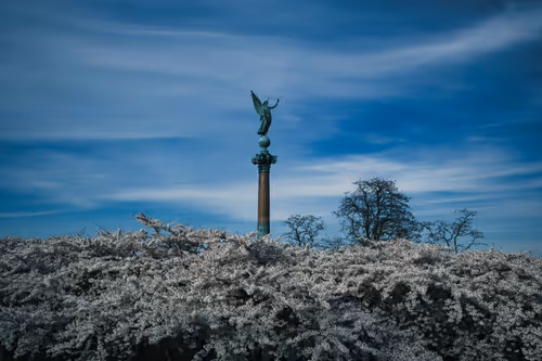 Item #96484217895313023525666764688055076521660882072922659713418731710044484665345 Media