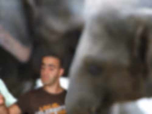 Item #53293308890184797563245186567038910587897763149201304652829954787934533058561 Media