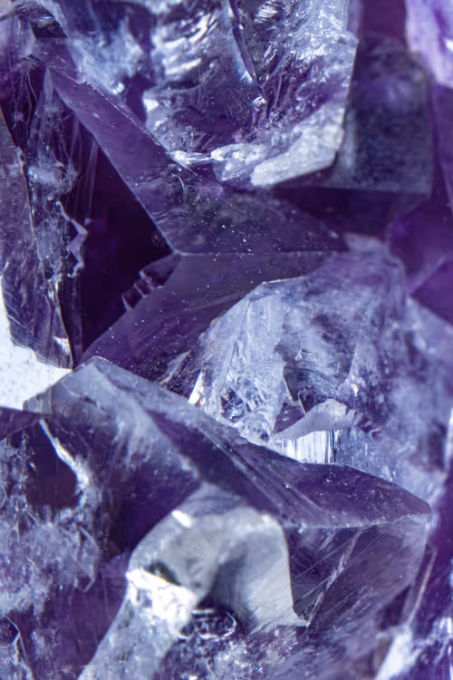 Item #66707676080978551838263520702754250537377931787813102231396956438645742501889 Media