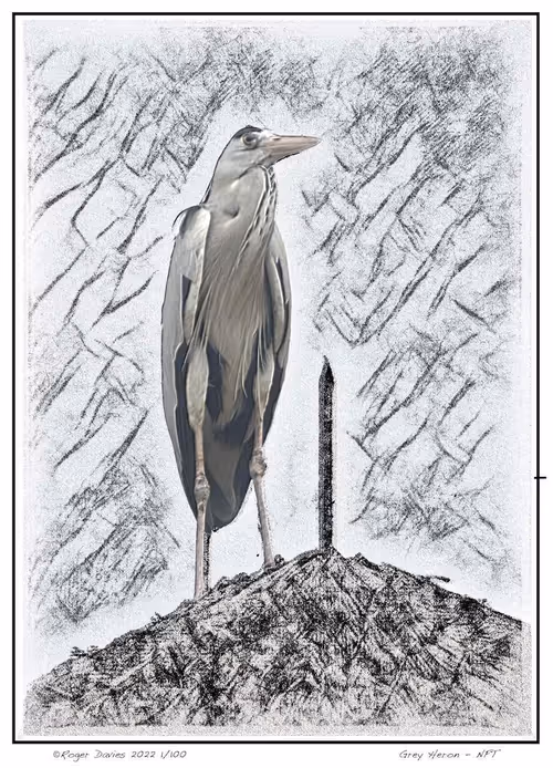 Item #113829610119937179277145653237989536661159515398728099625049874697448474017793 Media