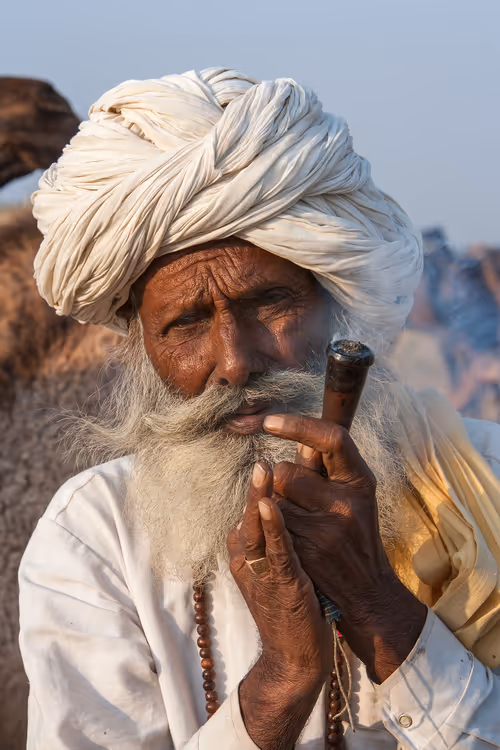 Item #24110165408155573398908987562152031273205884089304227586706331211708405645313 Media