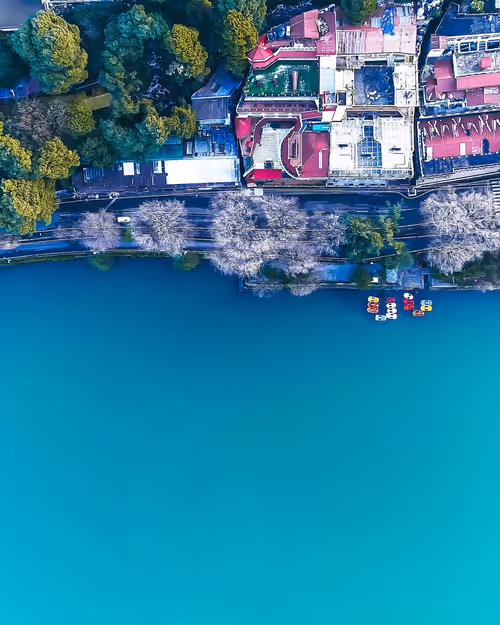 Item #76182420435474433030175106925333141340122143524658153810664851668172986646529 Media