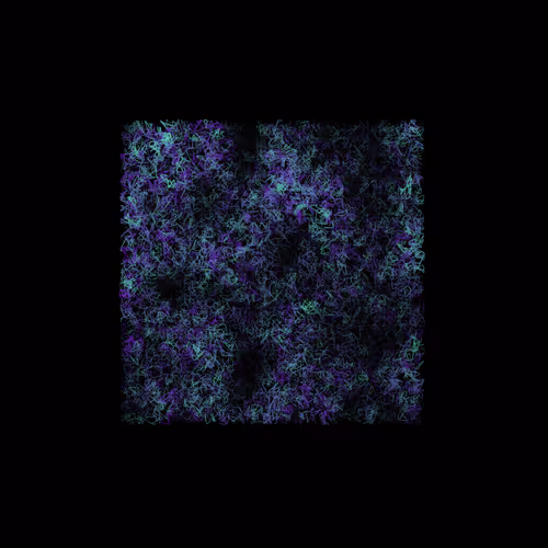 Item #12032733712256437664215437925069129638151898554142308319368358948825473220609 Media