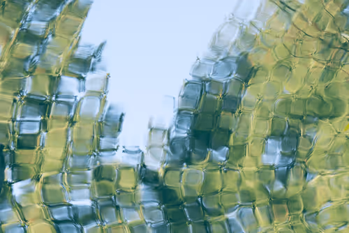 Item #81441334517361708208394031135700195474624799851237506988747108152514690678785 Media