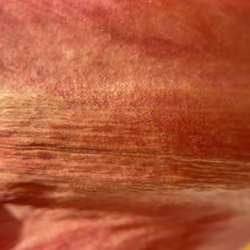 Red Fog