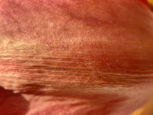 Item #101798116254510798330486236990451841615541533753866395116378150701509600346113 Media