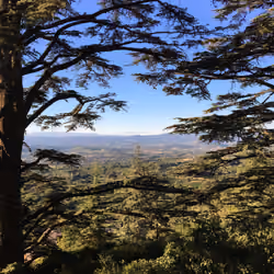 Hidden Mont Ventoux 