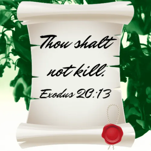 Item #38709541401652465001399013235077350118197148033488468632614324371117586776084 Media