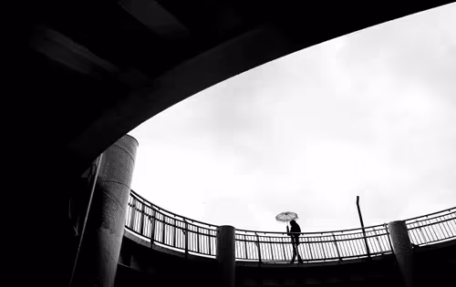 Editions by Gul Yildiz