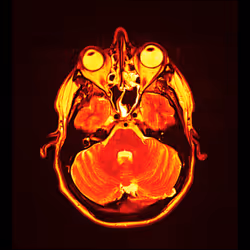 64162533542198579898252916190583583845604629893829087458582976052556250218497