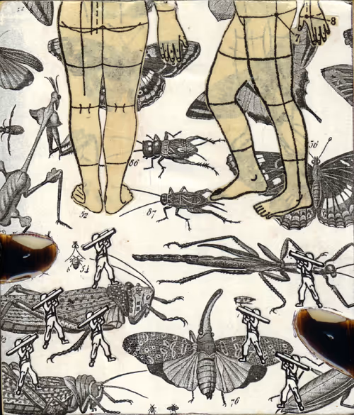 Item #83537820158197579288683679296722743106348371715068758034174859214828571983873 Media