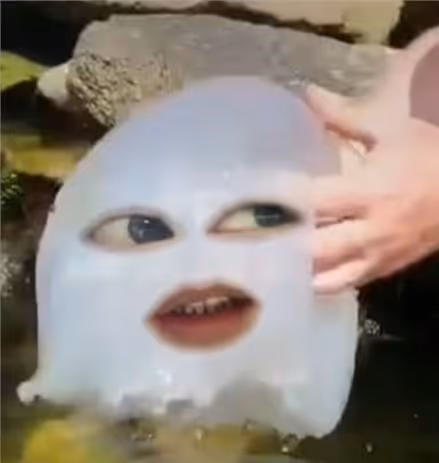 Item #82739741207092183784619413466685504969759735461627039414568339833255356268545 Media