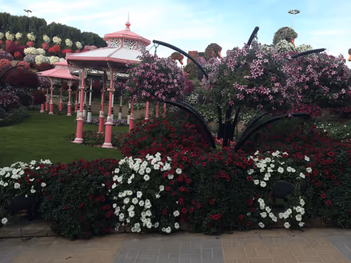 Item #13968726059347532090623550307795009463851395019365410599953870997165103482528 Media