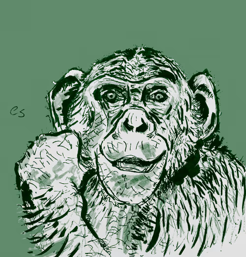 Item #39091703505809475788956350880894769302011138939225893693019847046473604661249 Media