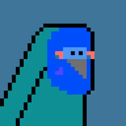 Budgie #282