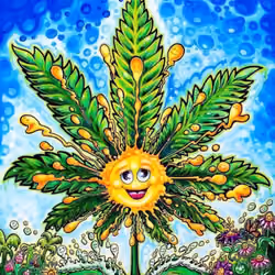 Happy Plant