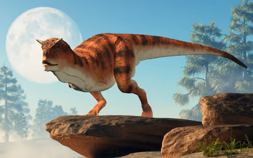 Item #15201862250514145958676777466825728141953005429687029988591517062300728033281 Media