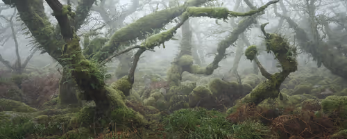 Item #72639390708267126639436568569652760193401123475841185469851730189483562237953 Media