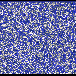 70052488390138160791330470355649069421948801382226851548507899469069591511041