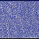 70052488390138160791330470355649069421948801382226851548507899469069591511041