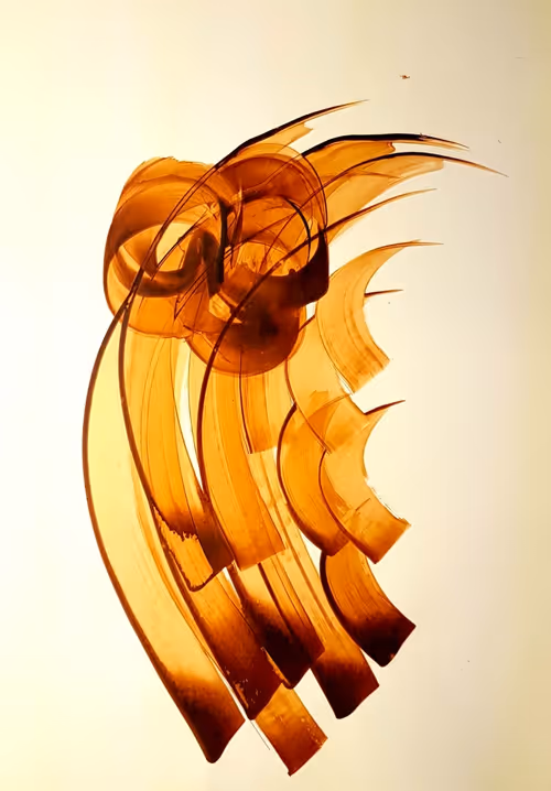 Item #63419806439455376926329327514984772497813812578709699789810852620997289312258 Media