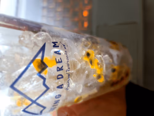 Hashashin Collection