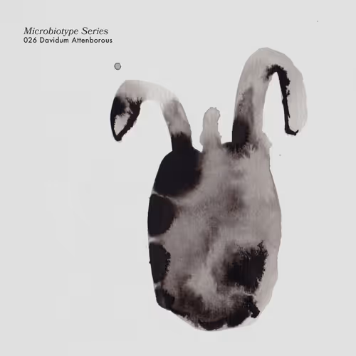 Item #20537471166803336483697920459392139182541277411208615206121837248193157398529 Media