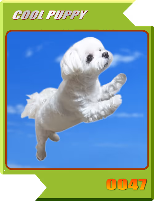 Item #21477548388787063266658748687199700189937005018840532589754440393119366119425 Media