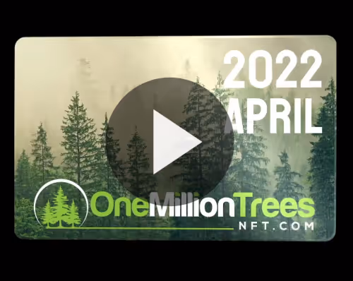 Item #25801989892845548526565125197399663131241948966790422528009322162830192934922 Media