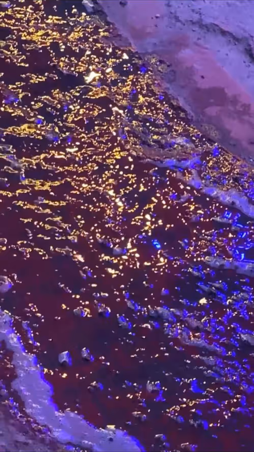 Item #62402000334580523921237358418718502457721815832787791947048085156258132262913 Media