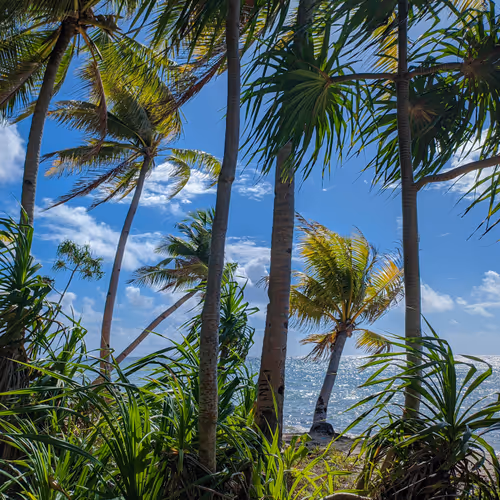 Wakatobi