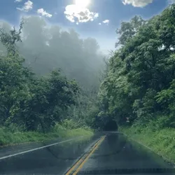 Road To Hana