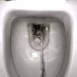 12660136923828748263426703316480839463053827608546839420335323518236528476161