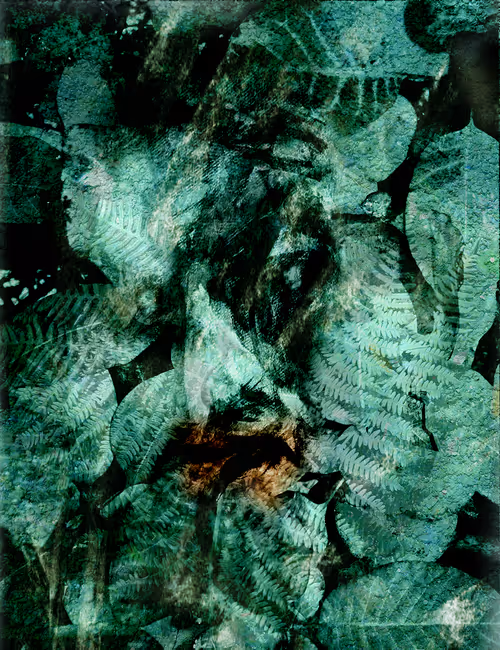 Item #43486627025047372311211479891111906998226383946028665950192622765942388031489 Media