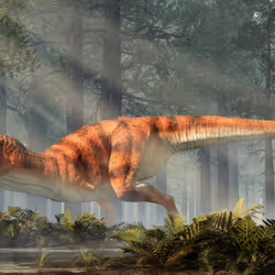 15201862250514145958676777466825728141953005429687029988591517060101704777729