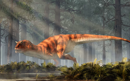 Item #15201862250514145958676777466825728141953005429687029988591517060101704777729 Media