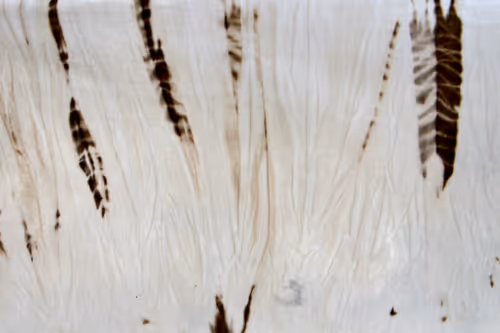 Item #23953230745994406582939997092897091351371610828269103110916008730538239066113 Media